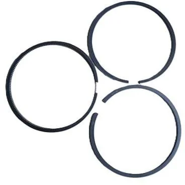Fpt Industrial - 500055470FPT - Piston Ring Set Standard