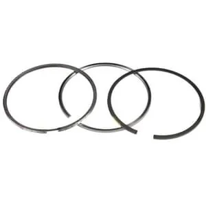 Fpt Industrial - 500055919FPT - Piston Ring Set Standard