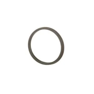 Fpt Industrial - 504030960FPT - Thermostat Gasket