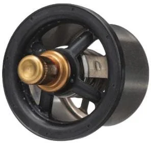 Fpt Industrial - 504096443FPT - Thermostat