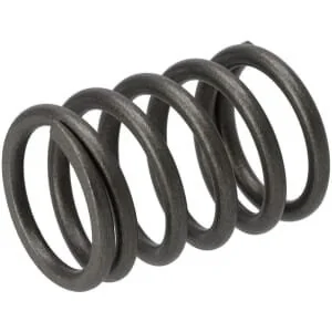 Fpt Industrial - 504099999FPT - Valve Spring