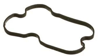 Fpt Industrial - 504173590FPT - Valve Cover Gasket