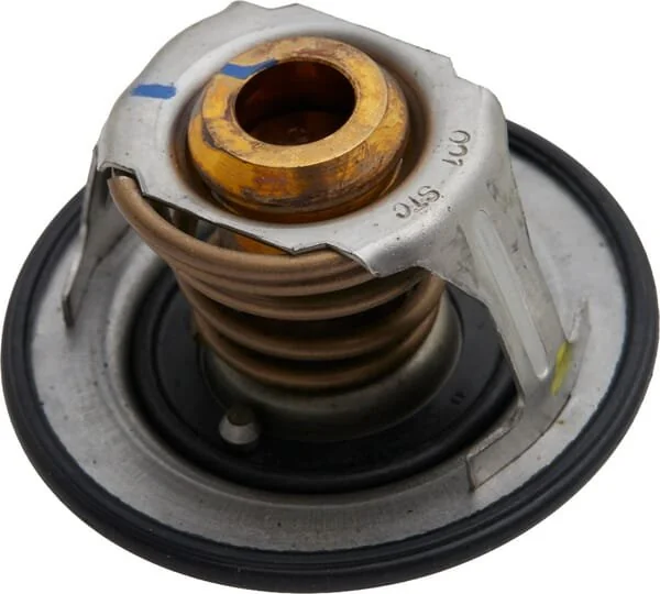 Fpt Industrial - 504380075FPT - Thermostat