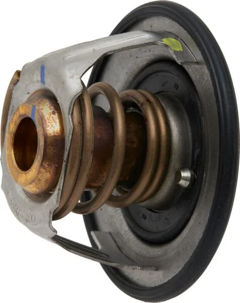 Fpt Industrial - 504380075FPT - Thermostat
