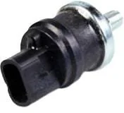 Fpt Industrial - 504386258FPT - Oil Pressure Sensor