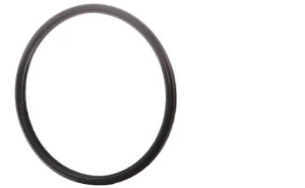 Fpt Industrial - 504387771FPT - Gasket