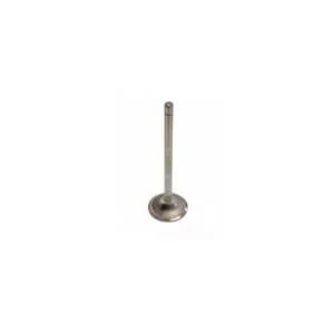 Fpt Industrial - 504387779FPT - Exhaust Valve