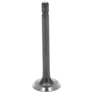 Fpt Industrial - 5801892577FPT - Exhaust Valve