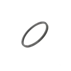 Fpt Industrial - 5802455380FPT - Seal Ring