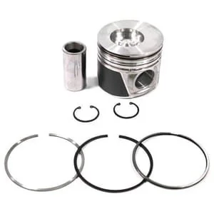 Fpt Industrial - 8094740FPT - Piston Assembly Standard