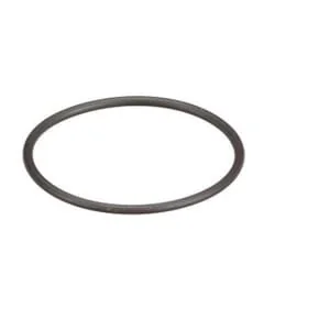 Fpt Industrial - 8097979FPT - Seal Ring
