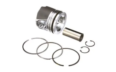 Fpt Industrial - 8099152FPT - Piston Assembly