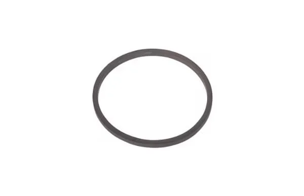 Fpt Industrial - 98429617FPT - Rubber Ring