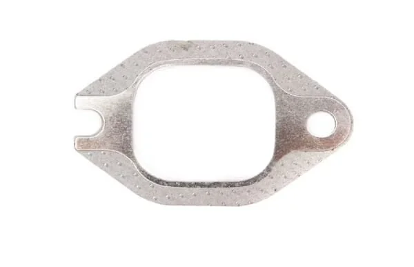 Fpt Industrial - 98489690FPT - Exhaust Manifold Gasket