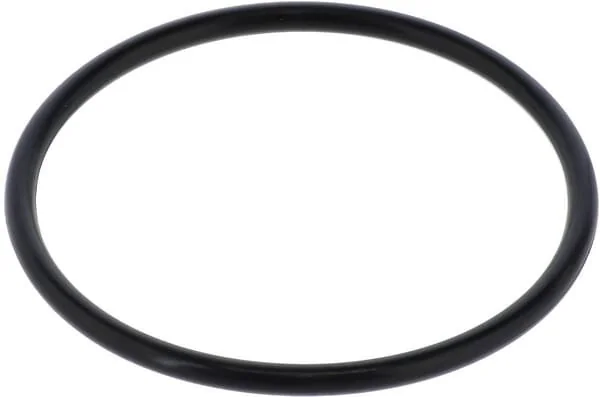 Gaspardo - F03010546R - Seal