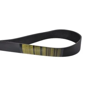 Gaspardo - F06010160R - Fan Belt