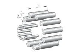 Ina - NRB2X198G2 - Needle Roller