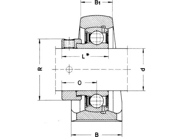 Ina - PSHE17 - Housing Unit PSHE