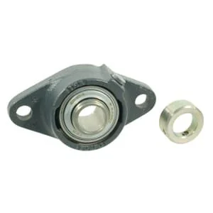 Ina