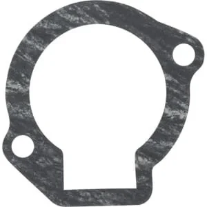 Kawasaki - 110602099 - Gasket