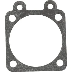 Kawasaki - 110602456 - Gasket