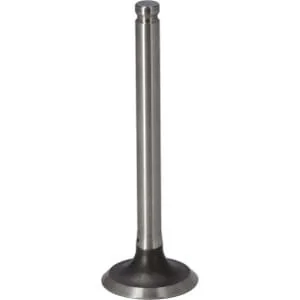 Kawasaki - 120057001 - Exhaust Valve