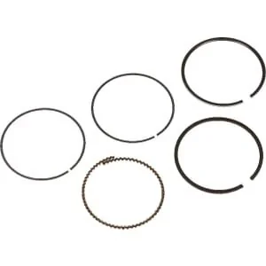 Kawasaki - 130086024 - Piston Rings
