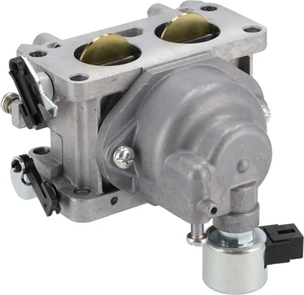 Kawasaki - 150041009 - Carburettor Assembly