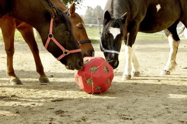 Kerbl - 3210386KER - Feed Play Ball Red For Horses