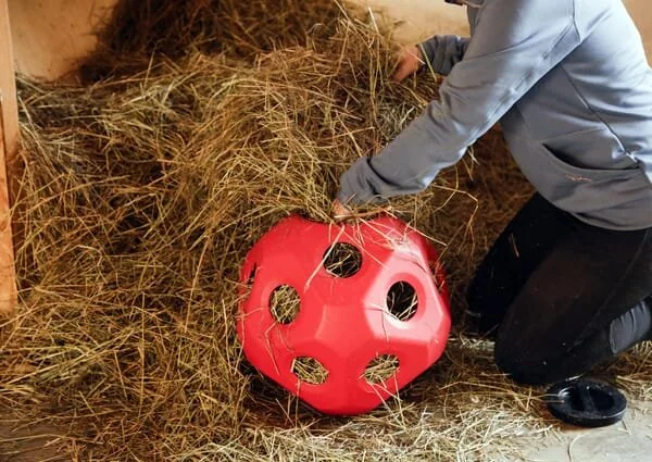 Kerbl - 3210386KER - Feed Play Ball Red For Horses