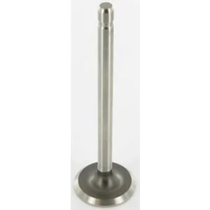 Kohler - 235008S - Intake Valve