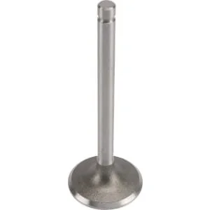 Kohler