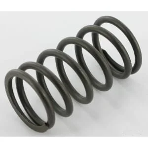 Kohler - 2508901S - Valve Spring