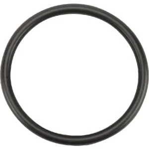 Kramp - OR298226290P010 - O-Ring 29.82x2.62 90 Shore 10x