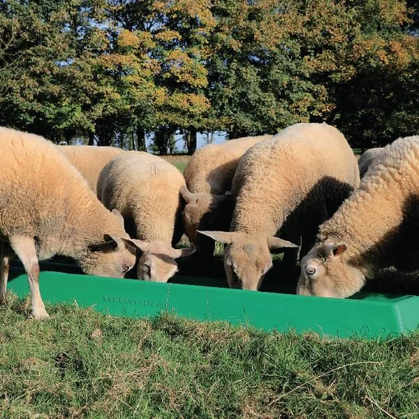 La Buvette - D239 - Feeding Trough 2 M