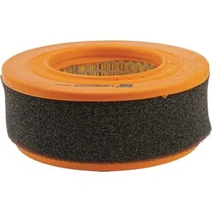 Lombardini - 2175048 - Air Filter