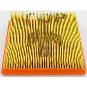Lombardini - 2175134 - Air Filter
