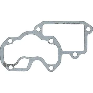 Lombardini - 4420080 - Intake Gasket