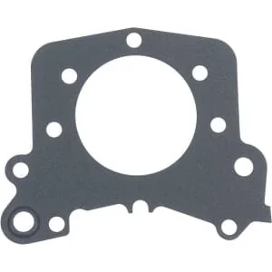Lombardini - 4580216 - Gasket
