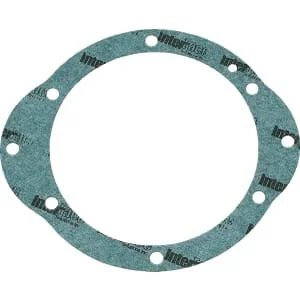 Lombardini - 4601224 - Crankcase Gasket