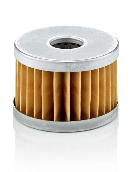 Mann Filter