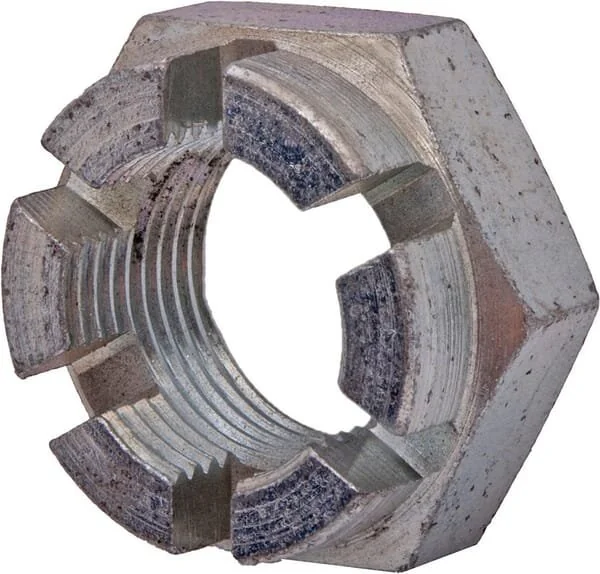 Maschio