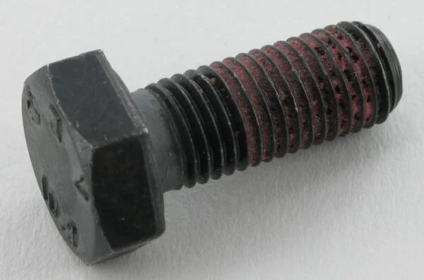 Maschio