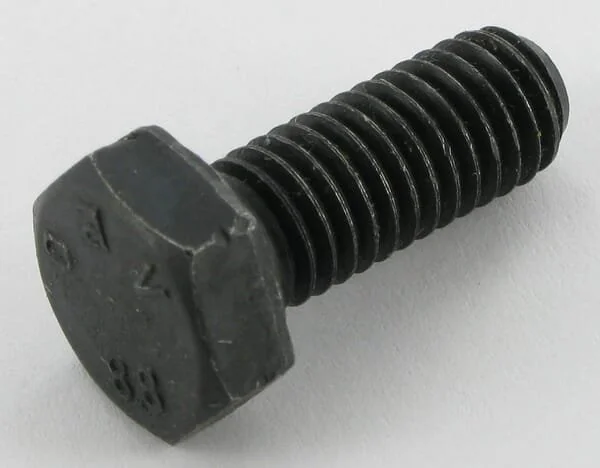 Maschio