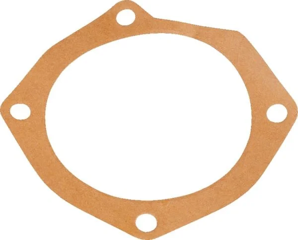 Maschio - M10100165R - Joint