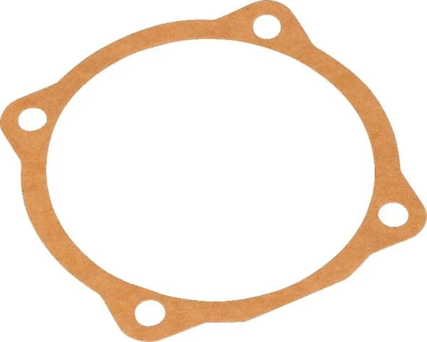 Maschio - M29100107R - Gasket 0.1mm