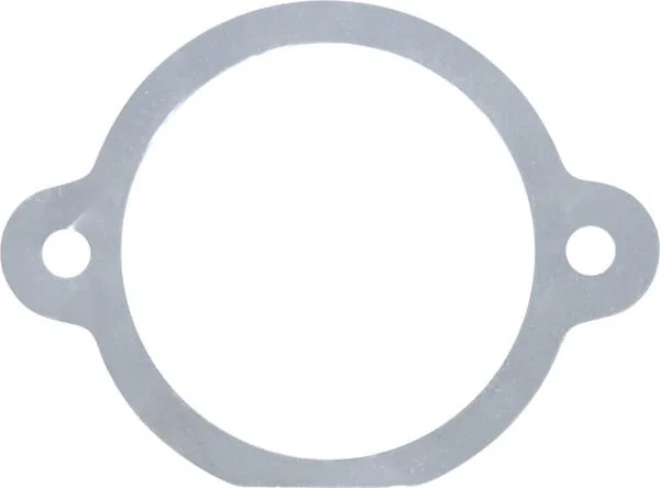 Maschio - M29100129R - Gasket 0.05mm