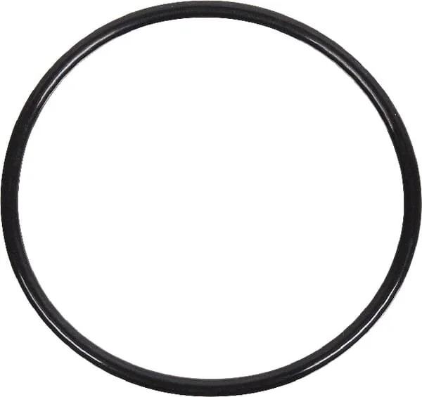 Massey Ferguson - 4222848M1 - Thermostat Gasket