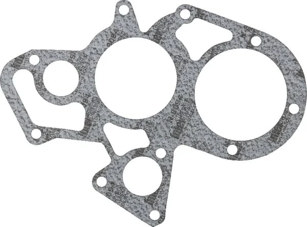 Massey Ferguson - 4222849M1 - Water Pump Gasket