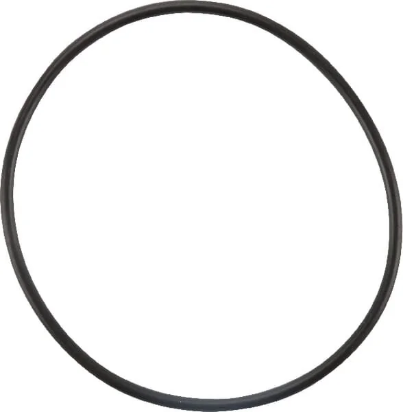 Massey Ferguson - 4223842M1 - Thermostat Gasket